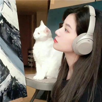 逃逸追踪